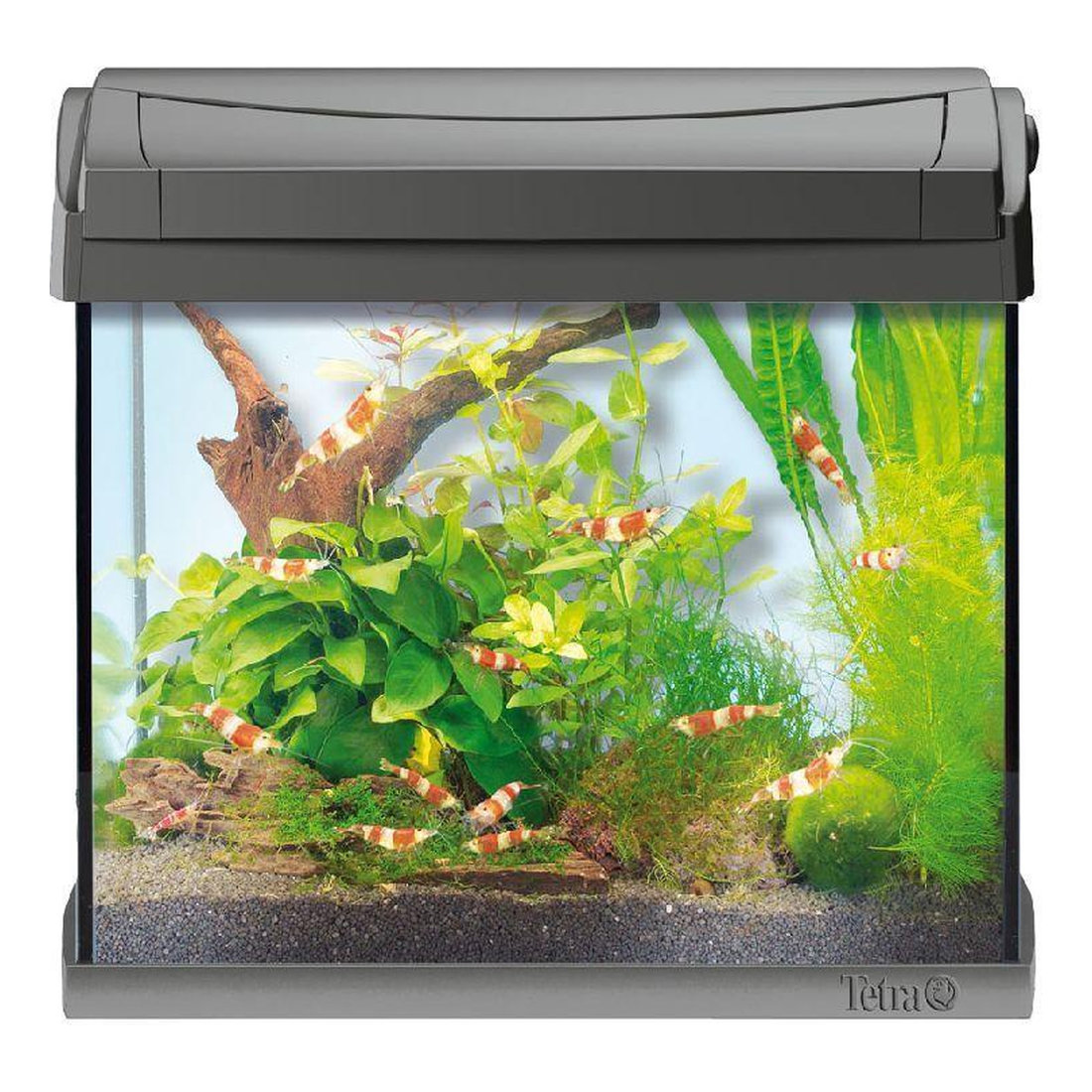 Tetra Aquarium AA LED Crayfish White 30L