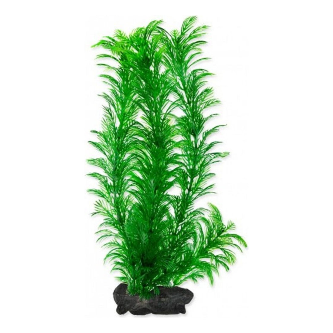 Tetra Plant Red Foxtail L 36cm