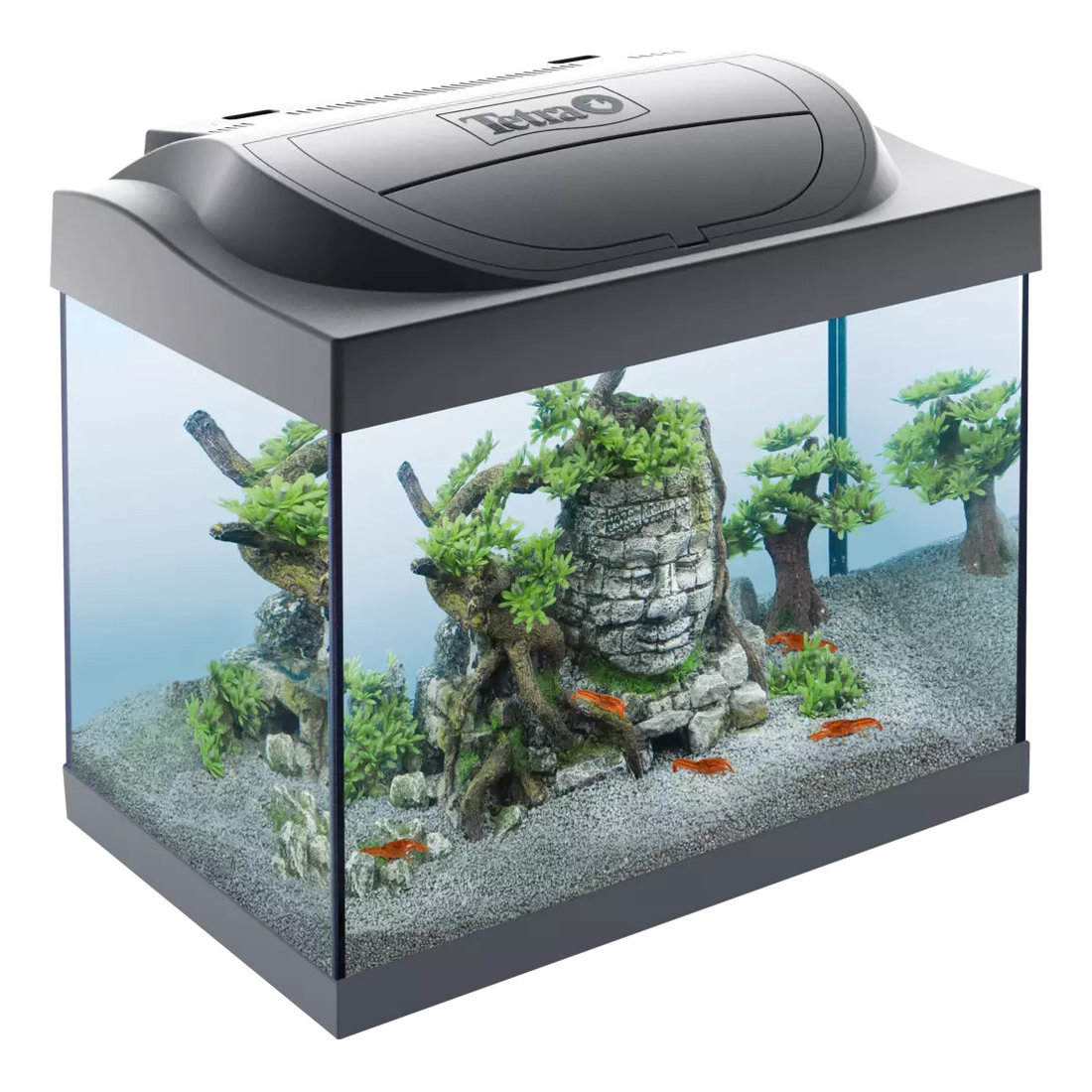 Tetra Aquarium Starter Line LED Black 105L