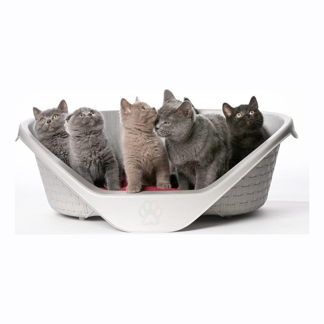 Nido Plastic Bed 75 75x55x26cm Ass.