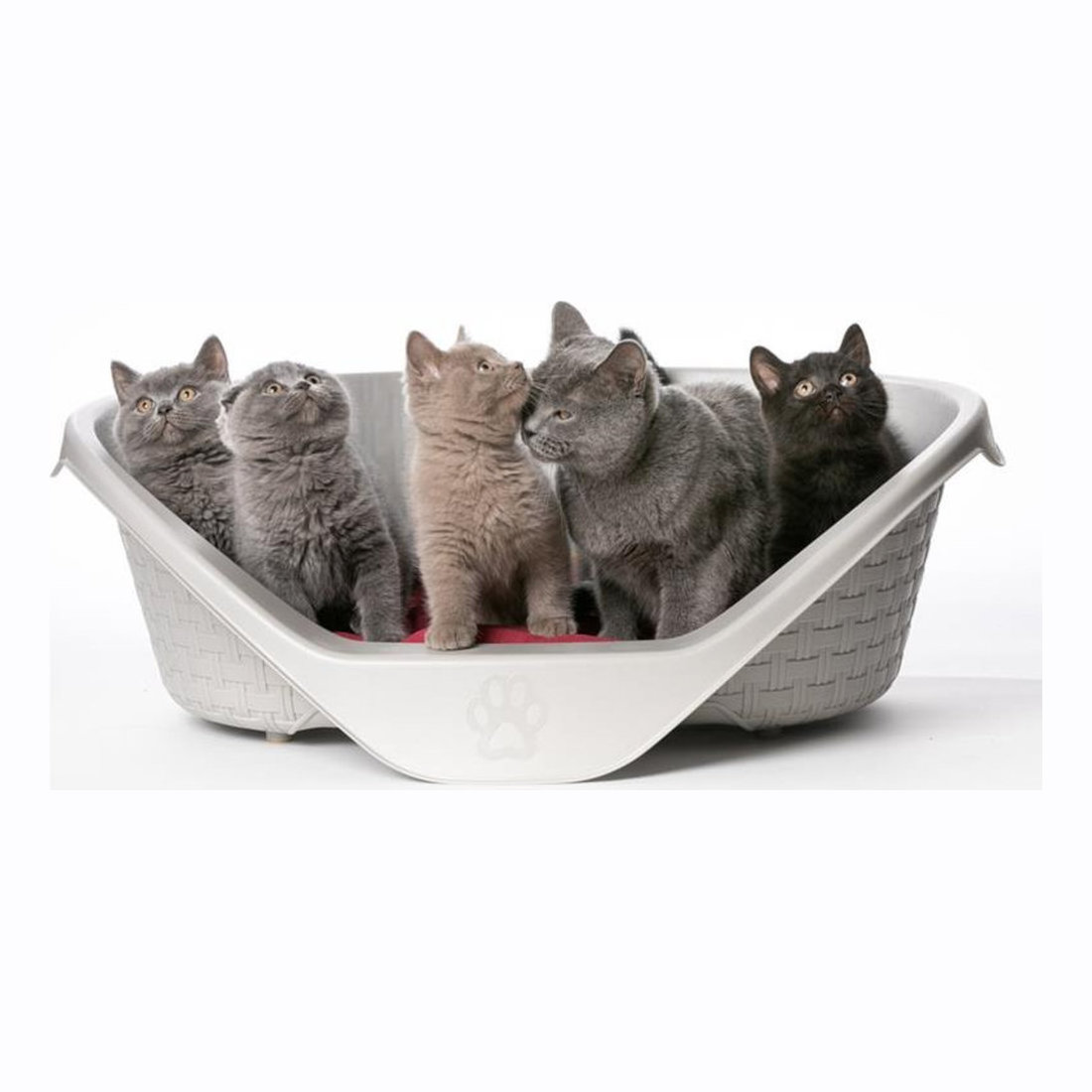 Nido Plastic Bed 90 90x66x30cm Ass.