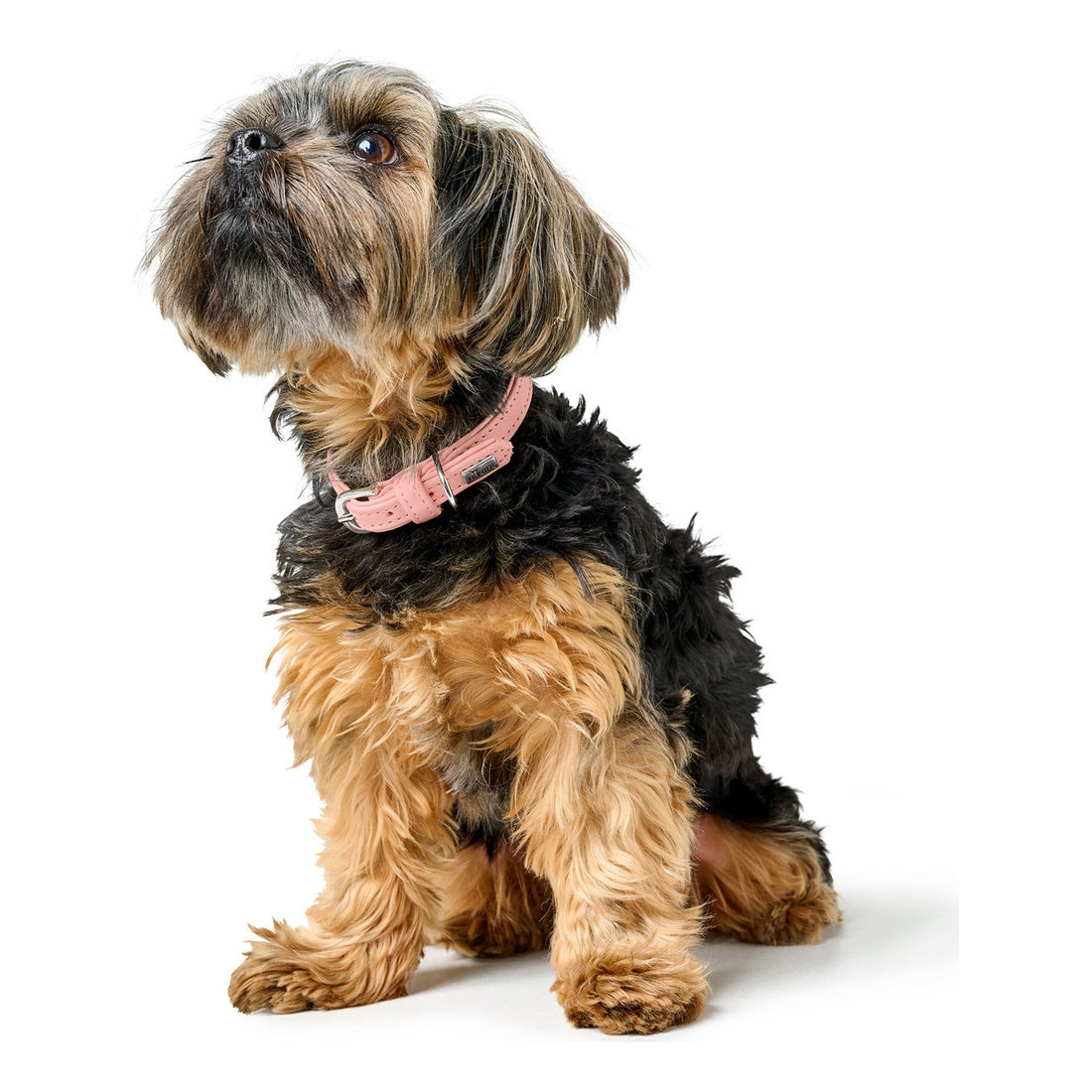 collar Soho Mini  24/XXS-XS pink