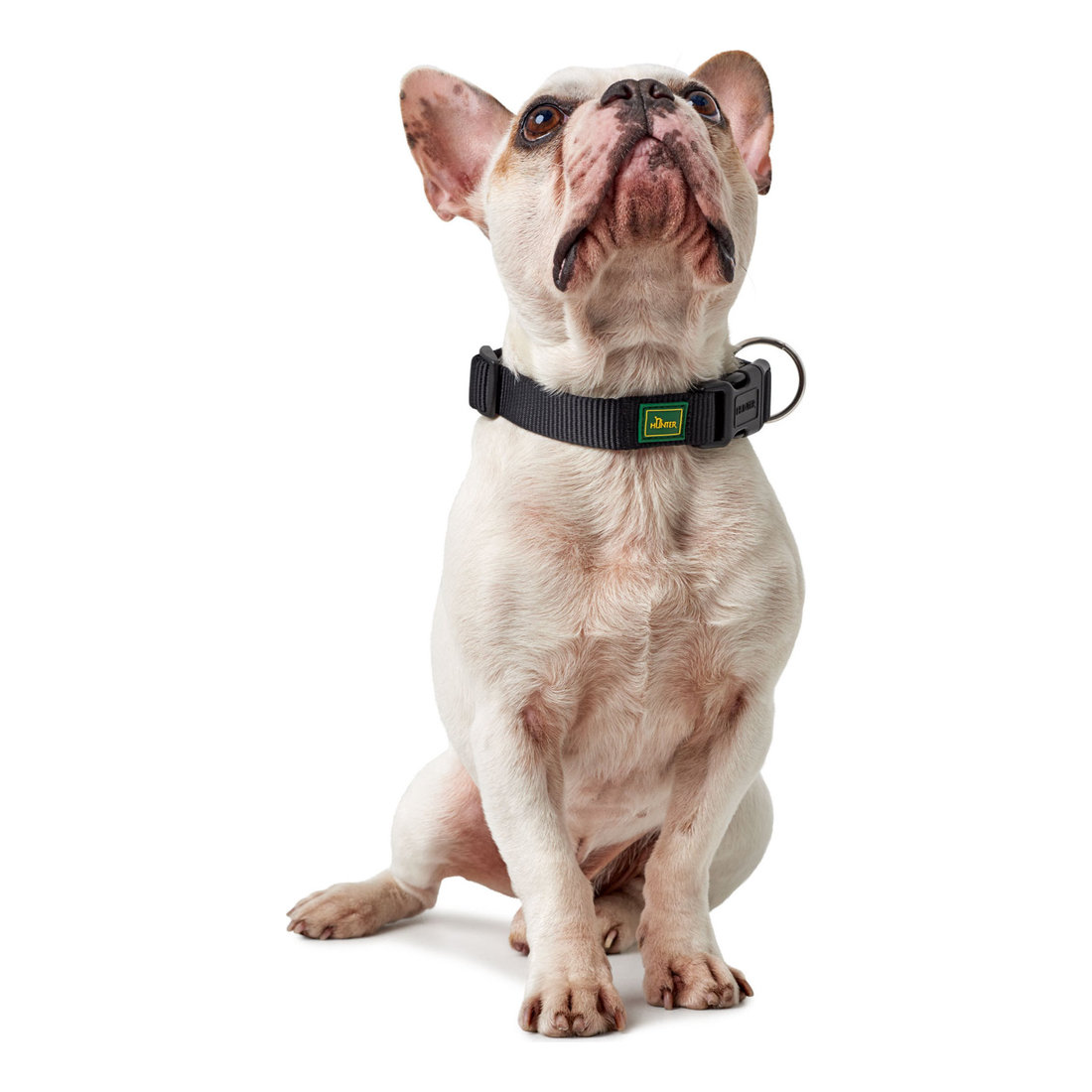 Collar VP M 2cm, 35-53cm Black