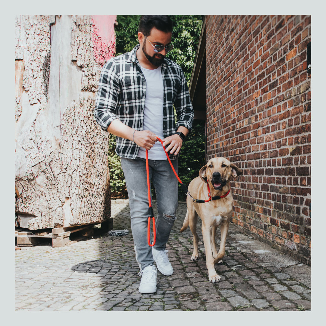 T-Collar Freestyle Rope 10mmx45cm M Red