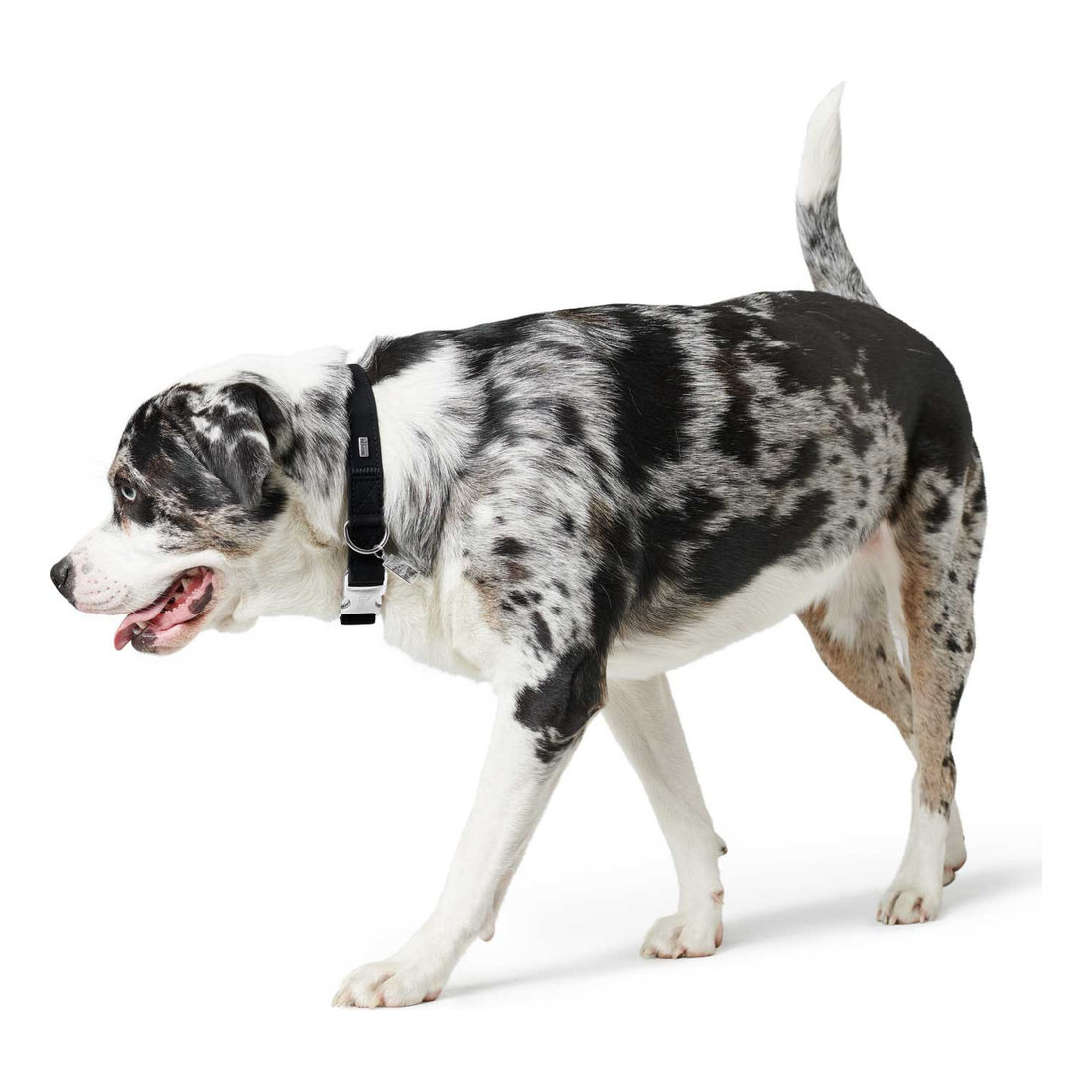 Collar Softie Alu-Strong M 30-45cm Black