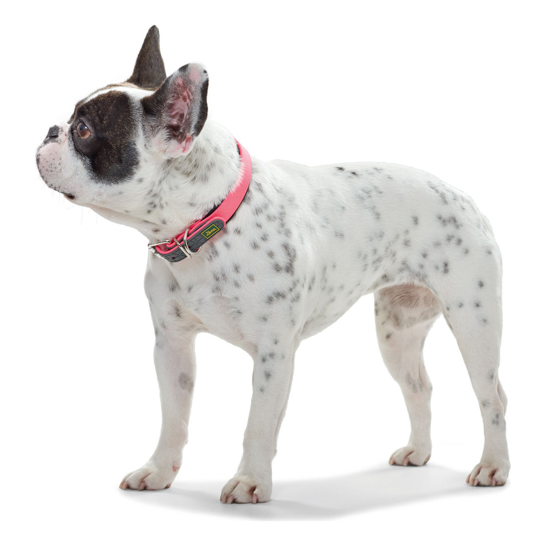 Collar Convenience Comfort XS-S (35) Neon Pink