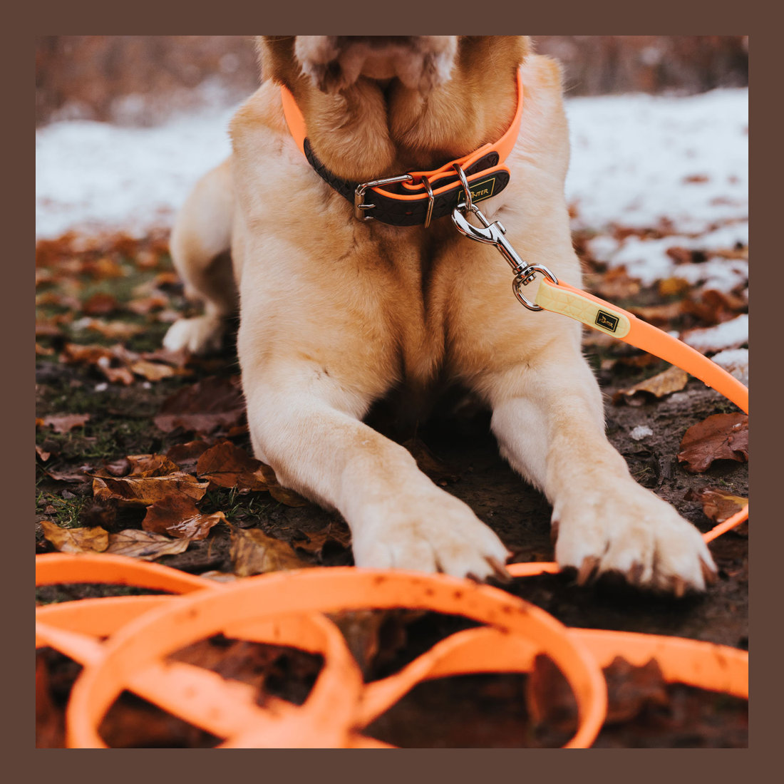 Collar Convenience 23-31cm Neon Orange