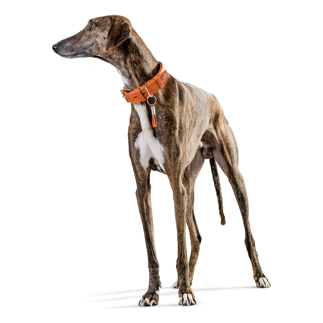 Leather Collar Cannes 2.8cm 29-37cm Orange