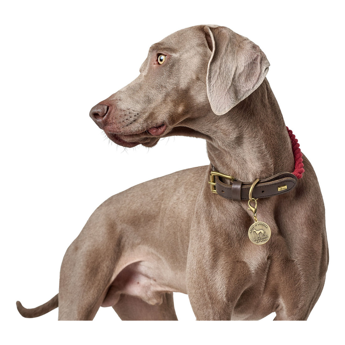 Collar List Rope S-M 38-46cm Bordeaux