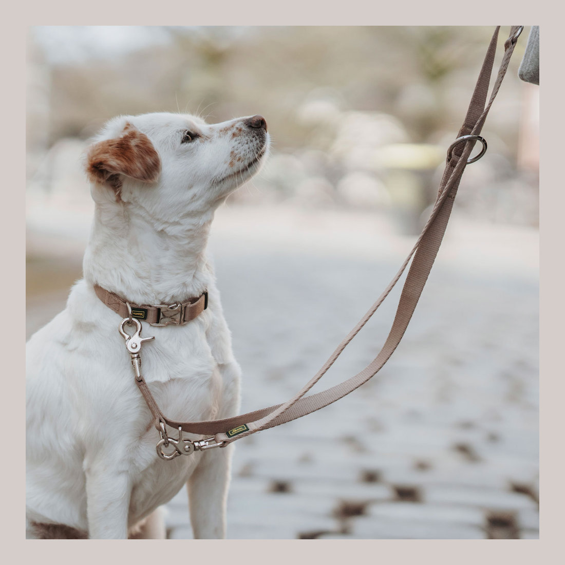 T-Leash Inari Alu-Strong 20/200cm Tan