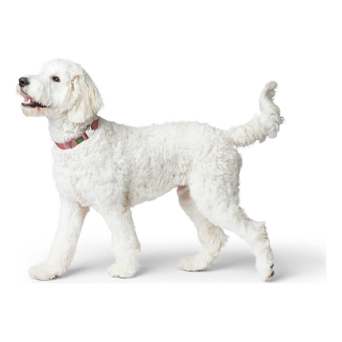 Collar Inari Alu-Strong M 30-45cm Pastel Red