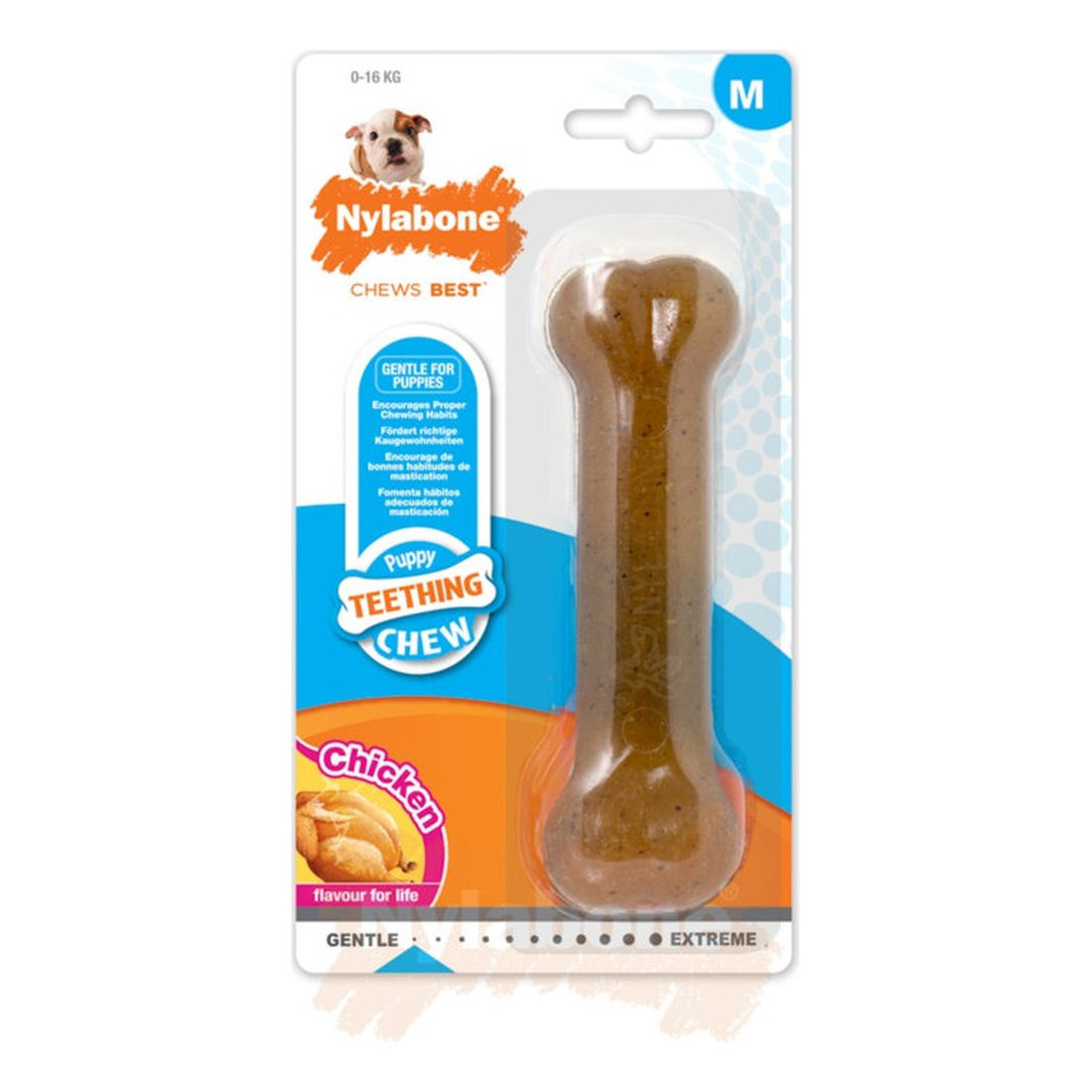 Nylabone Puppybone Chicken MED