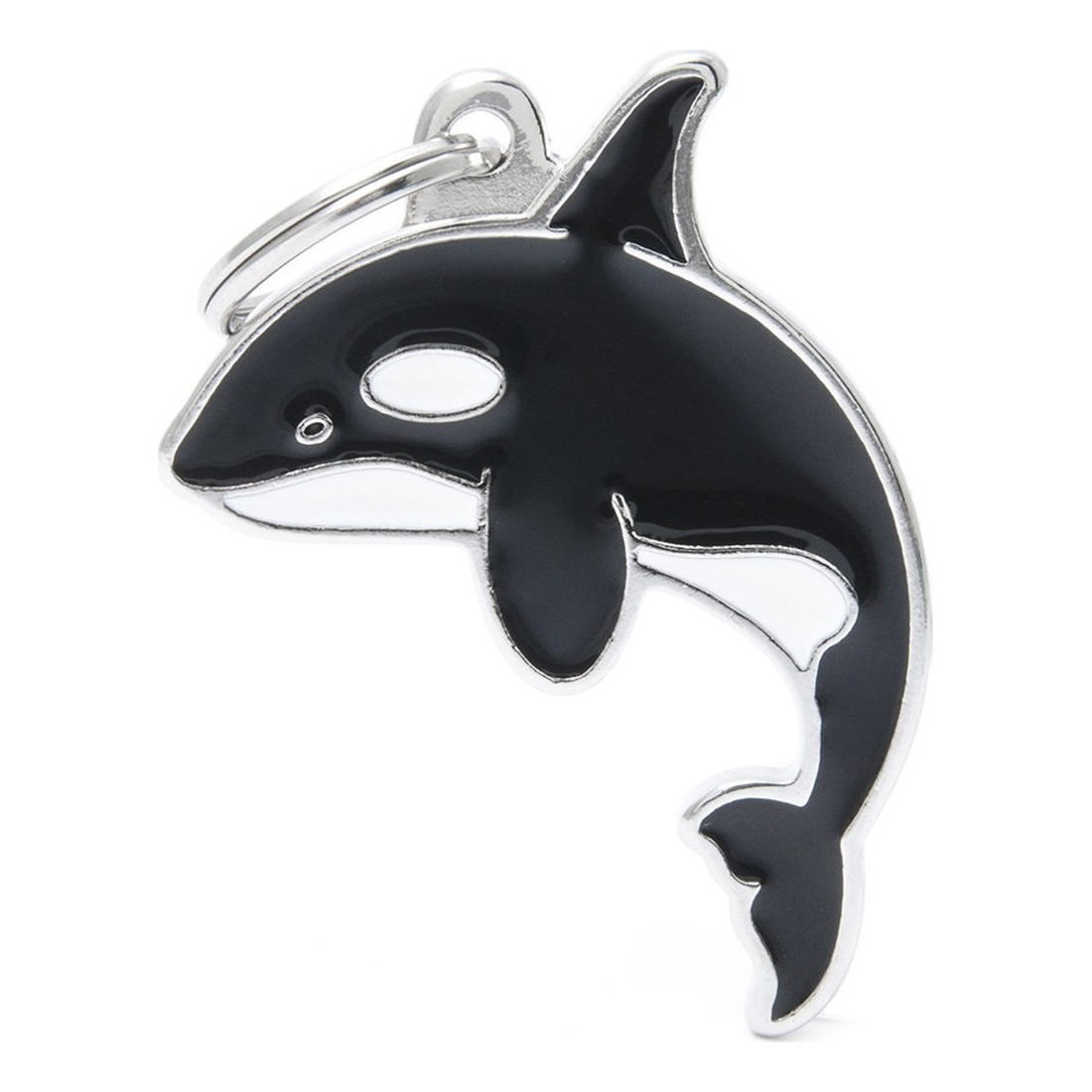 Wild Killer Whale