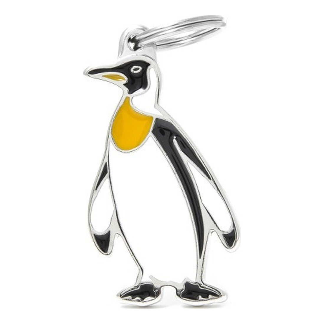 Wild Penguin